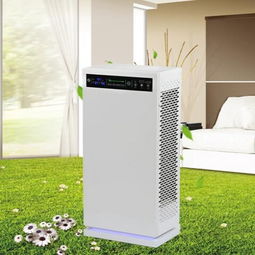 創(chuàng)健空氣凈化產(chǎn)品 產(chǎn)品圖片 加盟店怎么樣